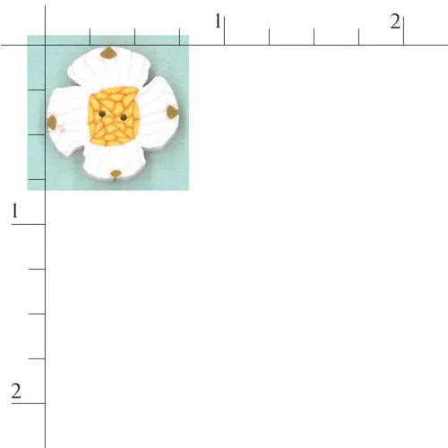 (image for) White Dogwood