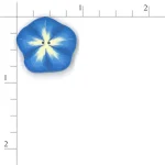 (image for) Morning Glory - Large