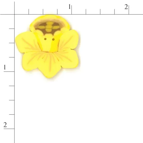(image for) Daffodil - Large