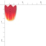 Tulip - Small (image for) Tulip - Small