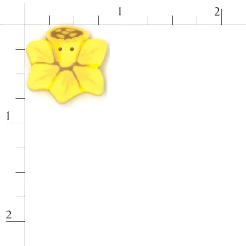 (image for) Daffodil - Small
