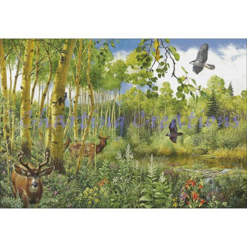 (image for) Aspen Ecosystem