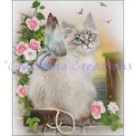 Cats Of The Month - June (image for) Cats Of The Month - June