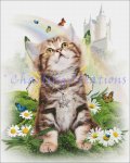 Cats Of The Month - April (image for) Cats Of The Month - April