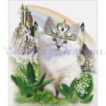 Cats Of The Month - May (image for) Cats Of The Month - May