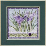 Crocuses (2024) (image for) Crocuses (2024)