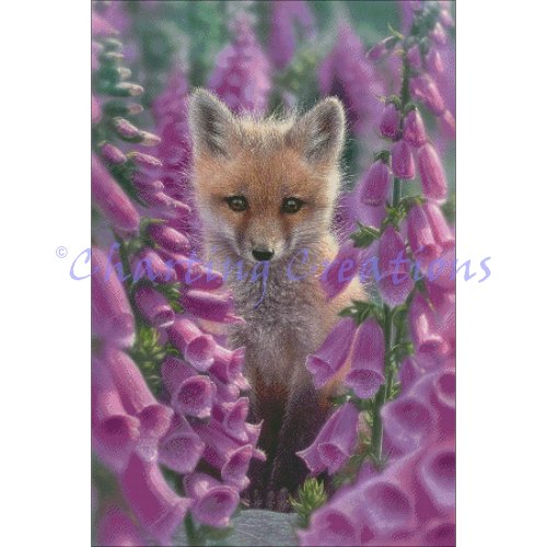 (image for) Foxgloves