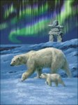 (image for) Northern Lights