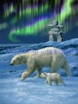 Northern Lights (image for) Northern Lights