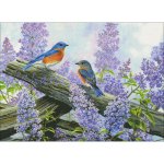 Spring Courting (image for) Spring Courting