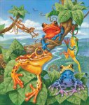 (image for) Tree Frogs