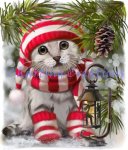 Mittens