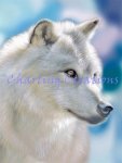 Silver Wolf