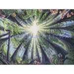 (image for) Phoenix In The Redwoods