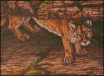 (image for) All Present Cougar