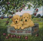 (image for) Apple Pups