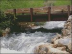 (image for) Bridge Over Troubled Waters
