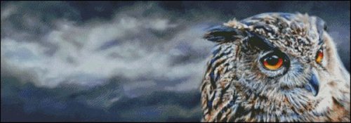 (image for) Eagle Owl Storm
