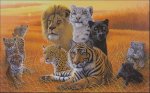 (image for) Feline Fancy