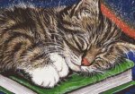 (image for) A Book at Bedtime