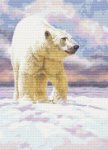 (image for) Arctic Wanderer
