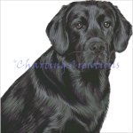 Black Lab (image for) Black Lab