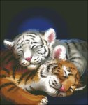 (image for) Cuddle Cubs