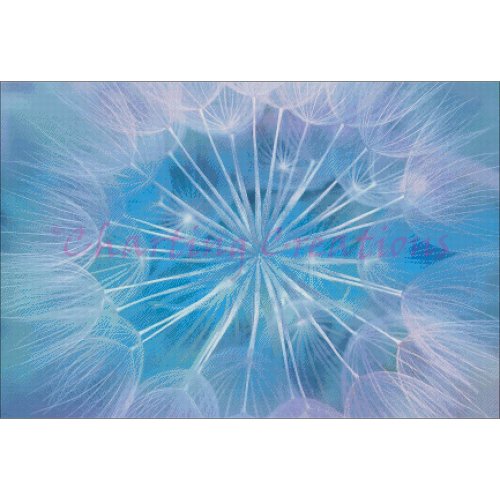 (image for) Dandelion Heart