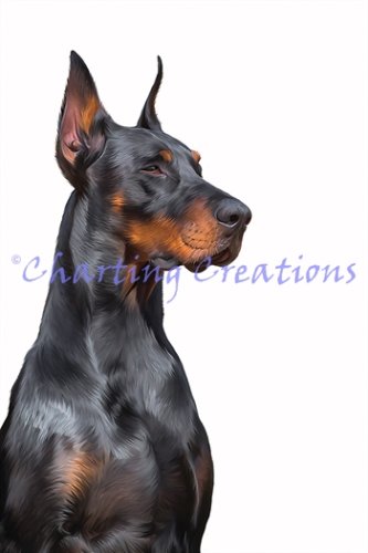 (image for) Doberman