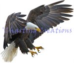 (image for) Eagle In Flight