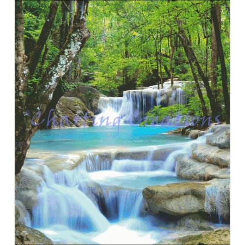 (image for) Forest Paradise