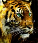 Fractal Tiger (image for) Fractal Tiger