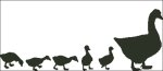 (image for) Geese In A Row
