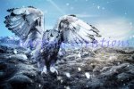 (image for) Northern Flight