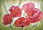 (image for) Poppies In The Field