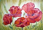 Poppies In The Field (image for) Poppies In The Field