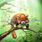 (image for) Red Panda Ralphie