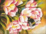 (image for) Signs Of Spring
