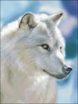 (image for) Silver Wolf