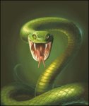 (image for) Small Ready To Strike