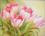 (image for) Tulips