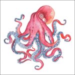 (image for) Watercolour Octopus