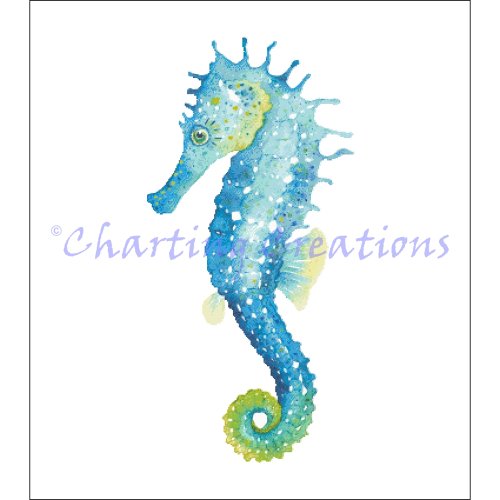 (image for) Watercolour Seahorse