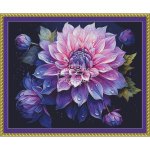 Colored Dahlia (image for) Colored Dahlia