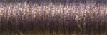 (image for) Kreinik #8 Braid - 5845 Golden Cabernet