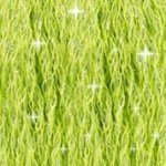 (image for) DMC Etoile #C907 Light Parrot Green