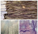 (image for) Enchanted Wood