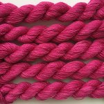 (image for) Wild Rose