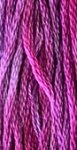 (image for) Dragon Fruit 5 Yards