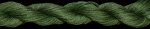 (image for) English Ivy